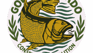 Lee más sobre el artículo Presentación proyecto “Tras la estela del tigre” para el estudio y conservación del dorado en el río Paraná