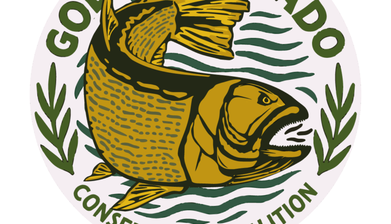 Presentación proyecto “Tras la estela del tigre” para el estudio y conservación del dorado en el río Paraná