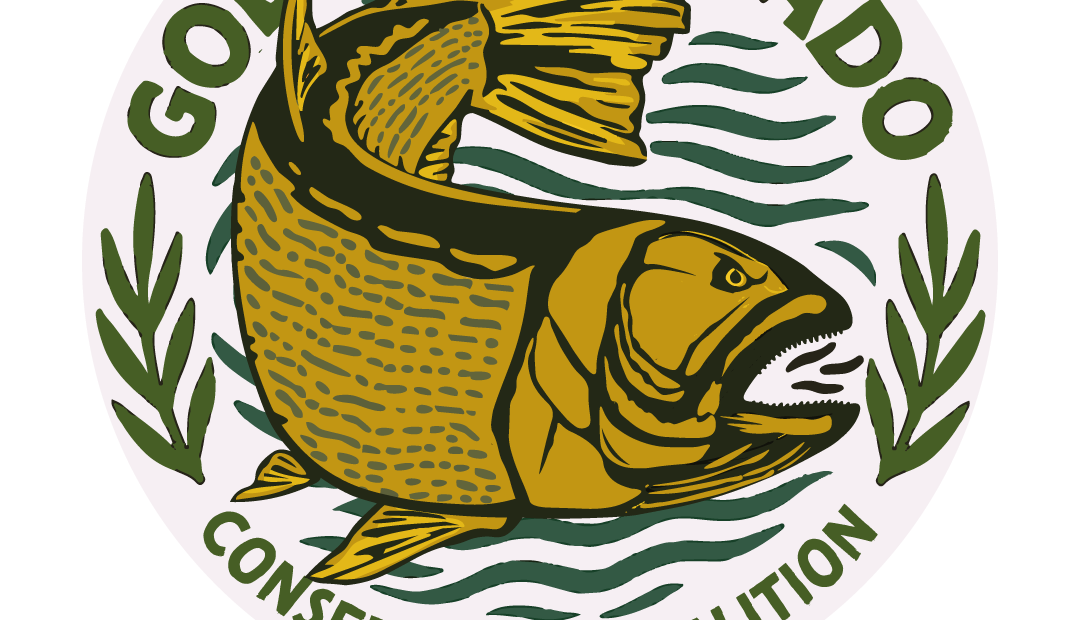 Lee más sobre el artículo Presentación proyecto “Tras la estela del tigre” para el estudio y conservación del dorado en el río Paraná