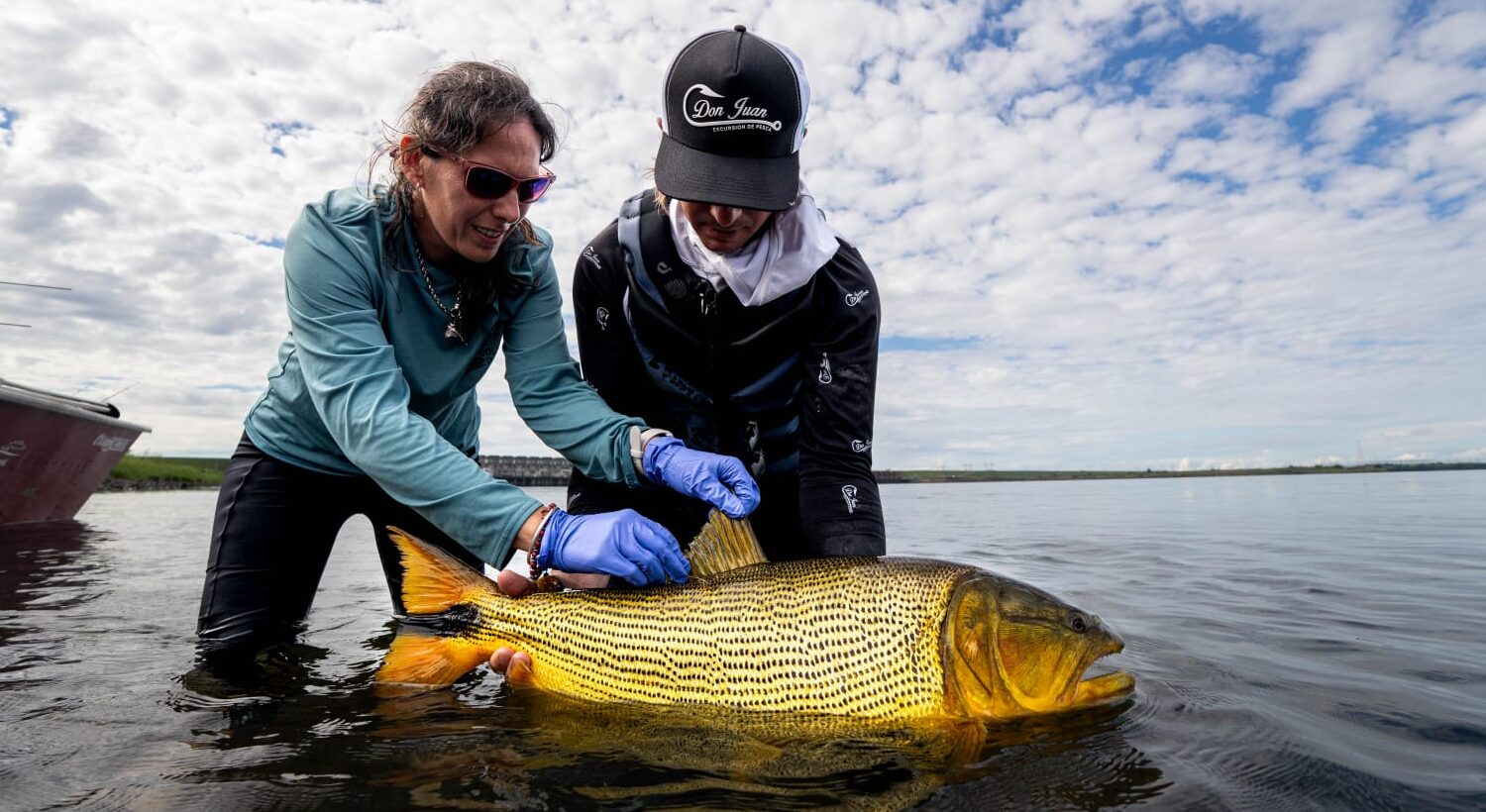 Lee más sobre el artículo LA COOPERACIÓN BINACIONAL FORTALECE LA CONSERVACIÓN DEL DORADO EN EL RIO PARANA